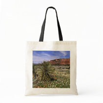 Wild flowers on Boynton Pass Road, near Sedona, Ar Bag
