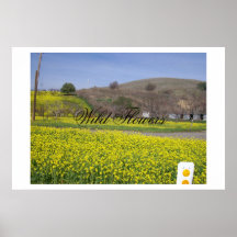 Wild Flowers Poster