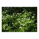 Wild Garlic Business Card