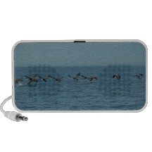 Wild Geese Speaker System