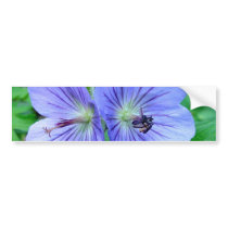 Wild Geranium