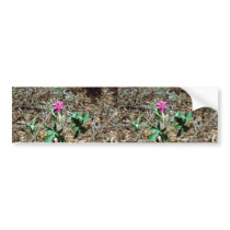 Wild Geranium Bumper Sticker