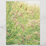 Wild gramineous full color flyer