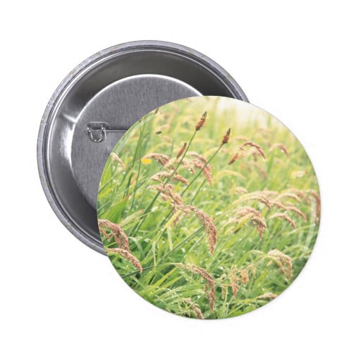 Wild gramineous pinback button