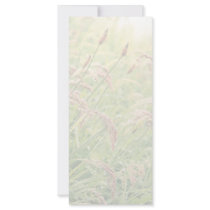 Wild gramineous full color rack card