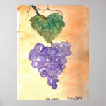 Wild Grapes Poster