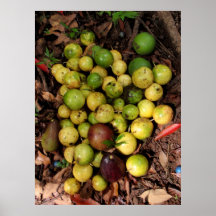 Wild Hawaiian lilikoi & avocados Posters