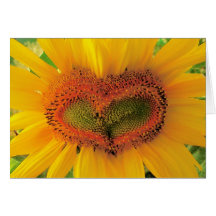 Wild heart,cards