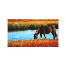 Wild horse canvas print