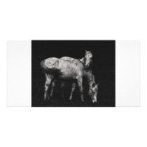 wild horse custom photo card