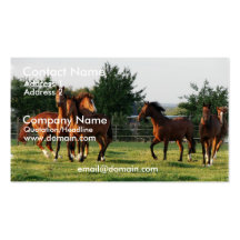 Wild Horse Round Up Business Card