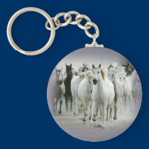 wild_horses1 keychains