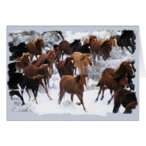 Wild Horses Driven Cards