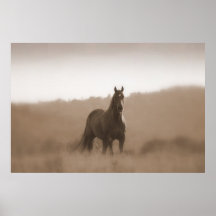 Wild Horses... Large Basic Poster
