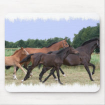 Wild Horses Mouse Pad
