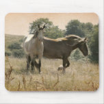 wild horses mousepads