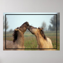 wild horses poster