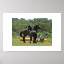 Wild Horses Posters