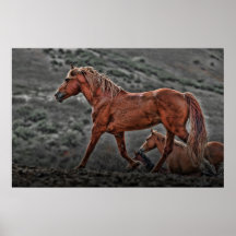 Wild Horses Posters