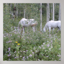 Wild Horses Posters