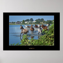Wild Horses Posters
