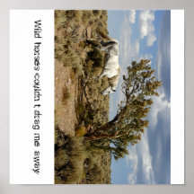 Wild Horses Print