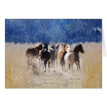 Wild horses running cards