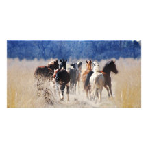 Wild horses running personalized photo card