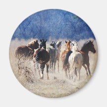 Wild horses running refrigerator magnets