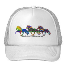 Wild Icelandic's Mesh Hat