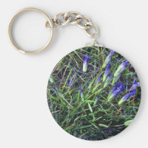 Wild Irises, Wyoming Pink flowers Key Chains
