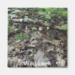 Wild Leek Magnet