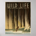 Wild life The national parks preserve all life posters
