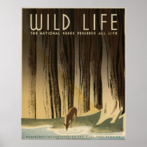 Wild life The national parks preserve all life