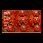 Wild Look :  Lady Bug by Naveen Joshi business cards