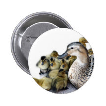 Wild Mother Duck and Ducklings Pinback Buttons