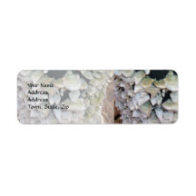 Wild Mushrooms on Decomposing Tree Labels