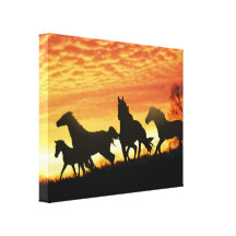 Wild Mustangs Canvas Print