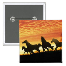 Wild Mustangs Pinback Buttons