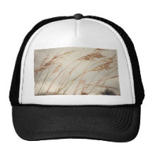Wild Oats to Sow Trucker Hats