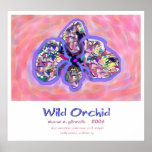WILD ORCHID posters