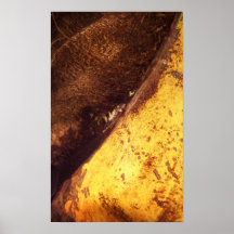 WILD PALMS #23 POSTER