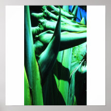WILD PALMS #24 POSTER