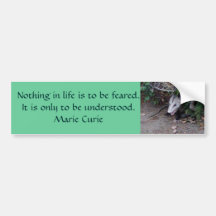 Wild Possum Bumper Stickers