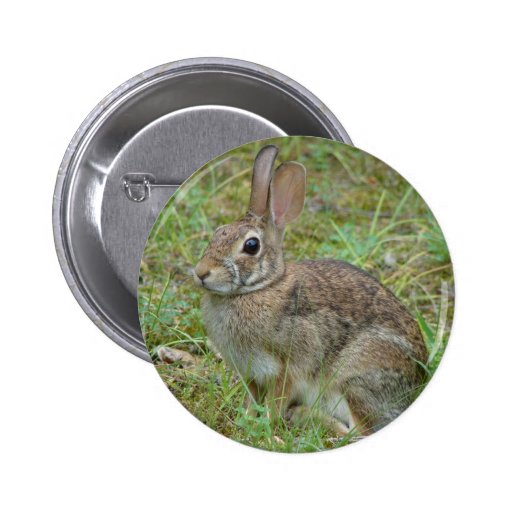 Wild Rabbit Eastern Cottontail II Apparel & Gifts Button