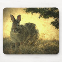 Wild Rabbits Mouse Pad