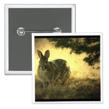 Wild Rabbits Square Pin
