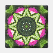 Wild Rose Lotus Mandala Fridge Magnets