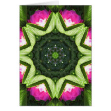 Wild Rose Lotus Mandala Greeting Cards