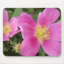 Wild Rose Mousepad